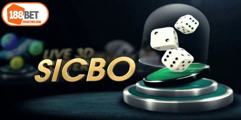 Xì Tố Là Gì? Luật Chơi Và Mẹo Hay Giúp Game Thủ Tự Tin 12 Sicbo online đem lại nhiều trải nghiệm độc đáo cho người tham gia