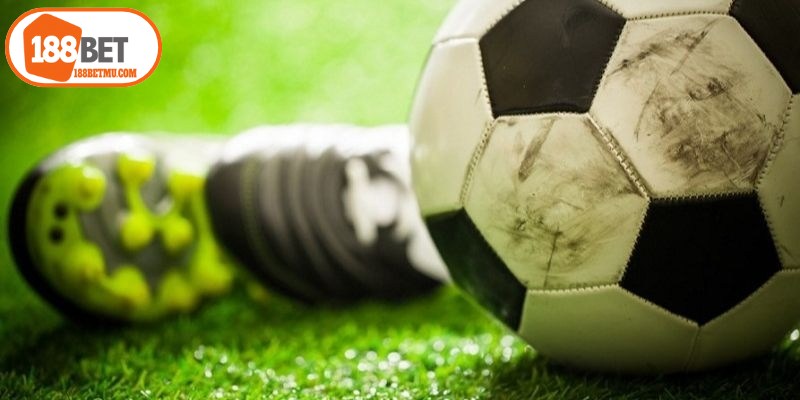 Kèo Tài Xỉu Bóng Đá - Cách Đọc Kèo Và Chơi Cực Dễ Thắng 14 Chiến thuật đặt kèo tài xỉu 0.25 thắng lớn